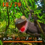 پنج شنبه   1403/10/27