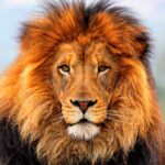 جمعه   1404/11/03