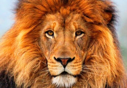 جمعه   1404/11/03