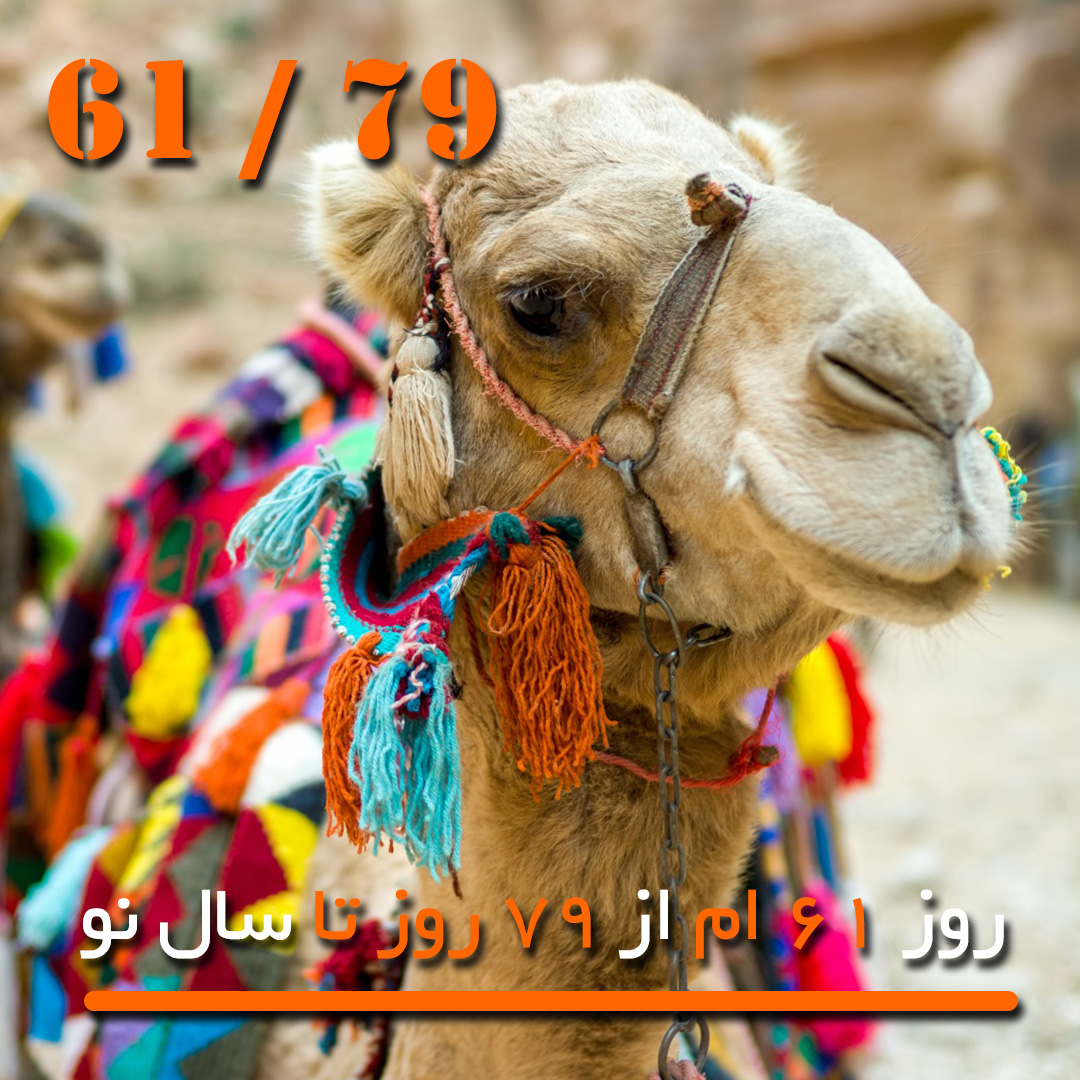 ابرکارآفرین حسین طاهری شتر سید حسین عباس منش علیرضا آزمندیان ماهان تیموری معصومه تیموری موفقیت دانلود دانلود رایگان